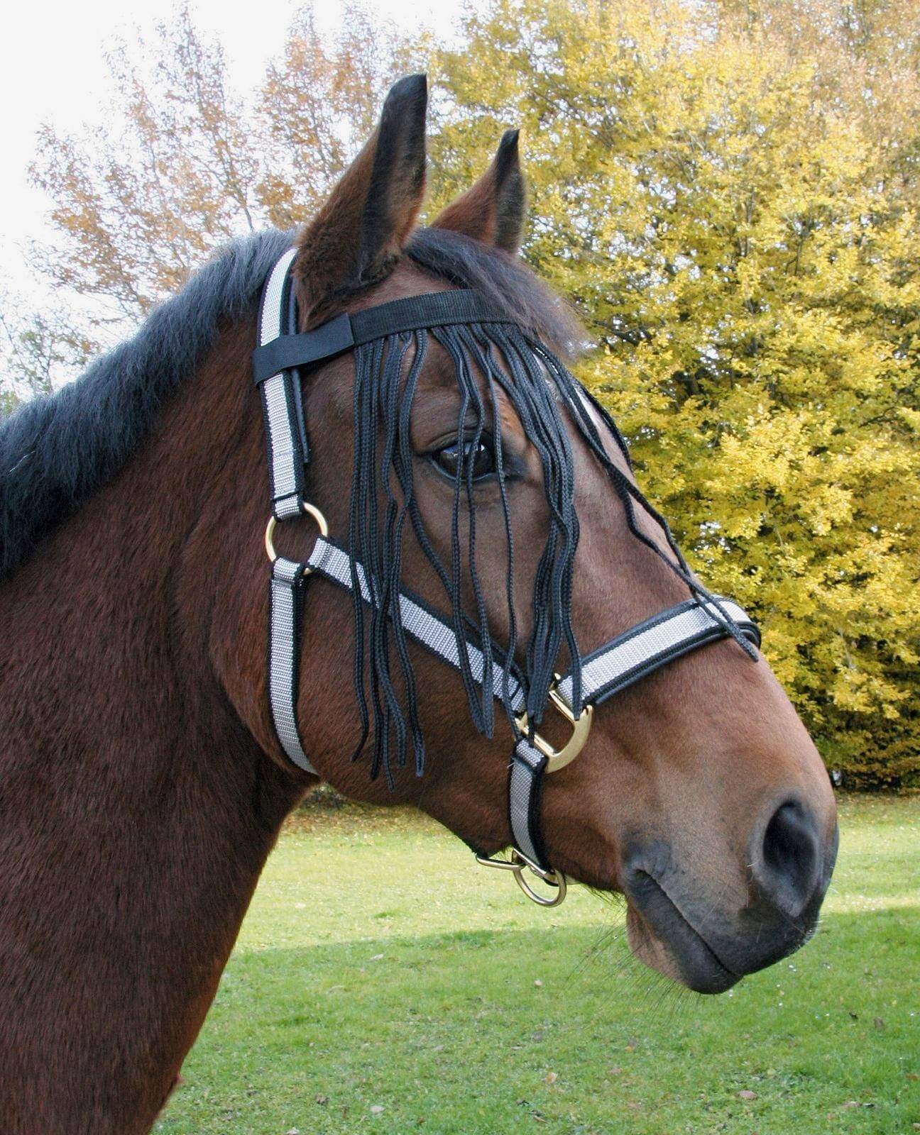 Fliegen-Fransenband mit Klett Fliegenband