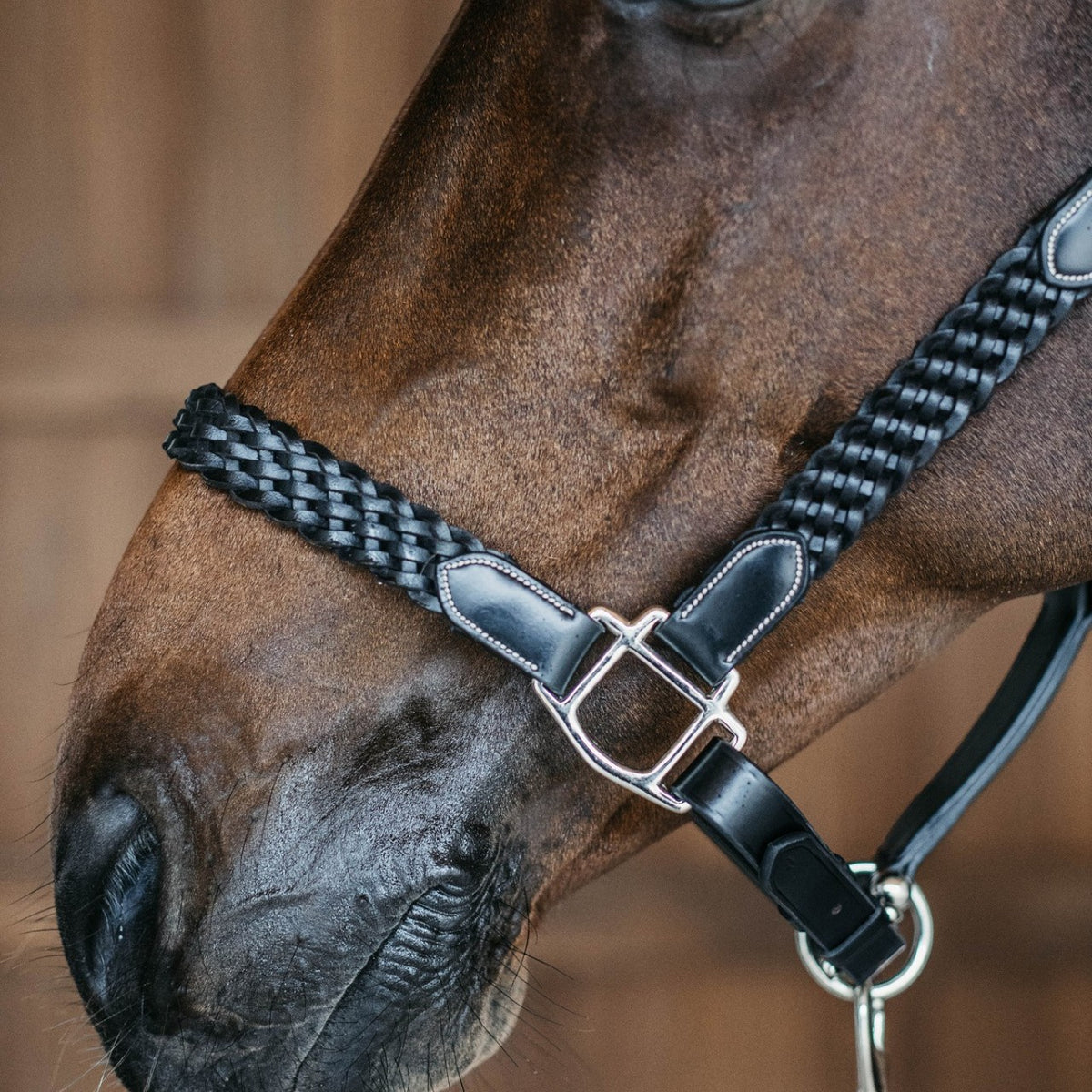 Lederhalfter Plaited