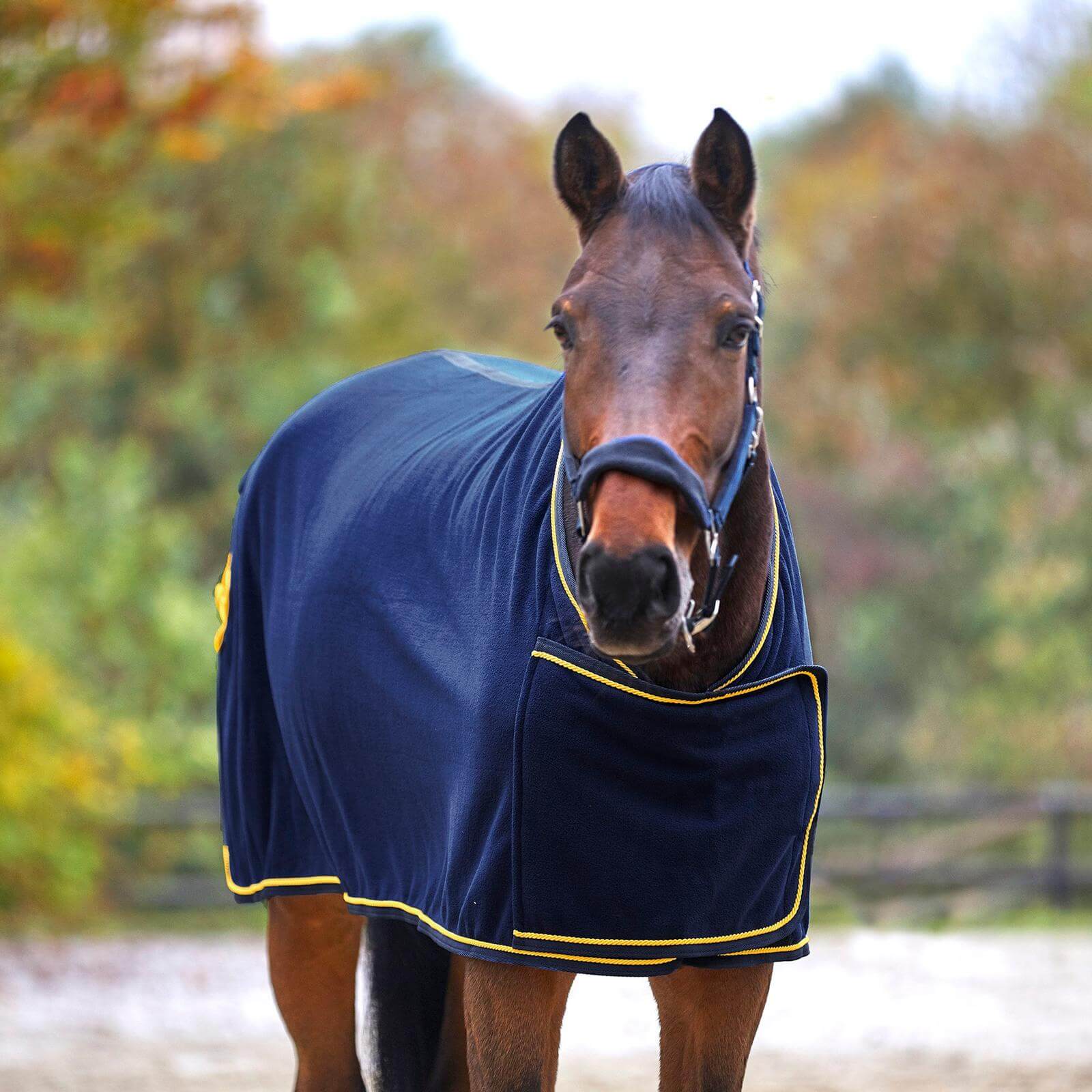 Fleece- und Sponsordecke