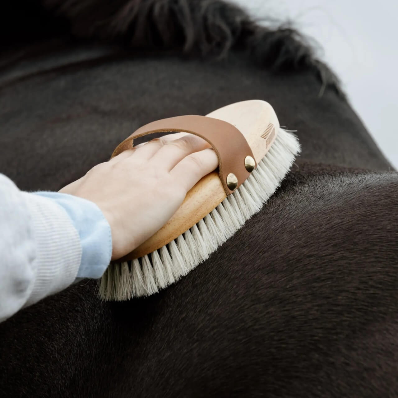 Glanzbürste Overall Brush Body Shine Bürste