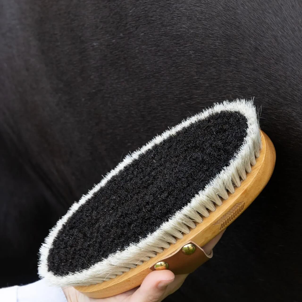 Glanzbürste Overall Brush Body Shine Bürste
