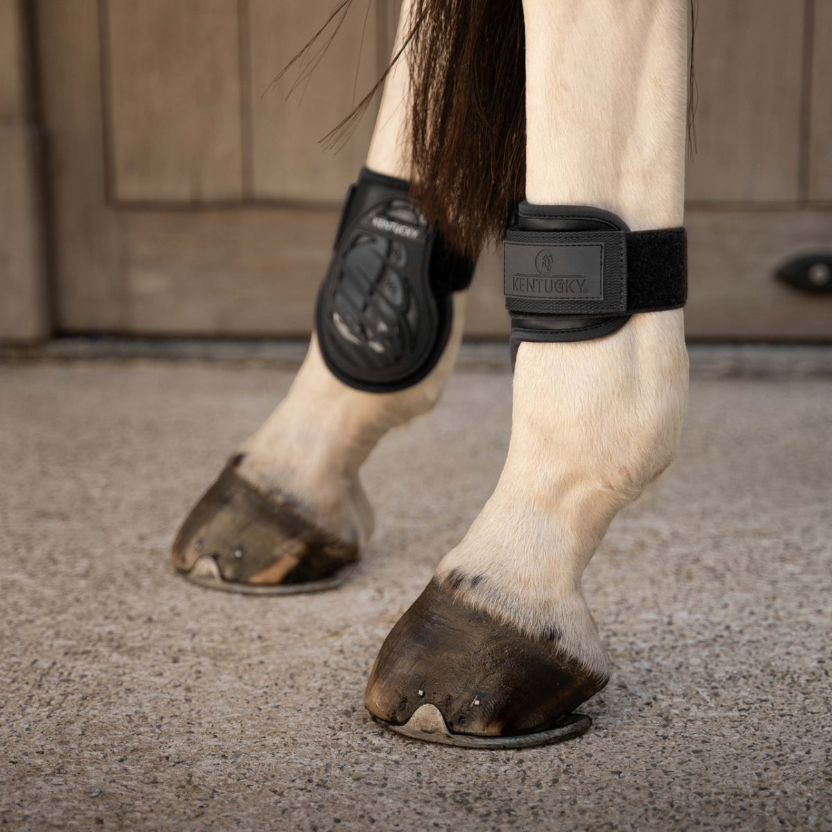 Streichkappen Jungpferd Pro Fesselkopfgamaschen