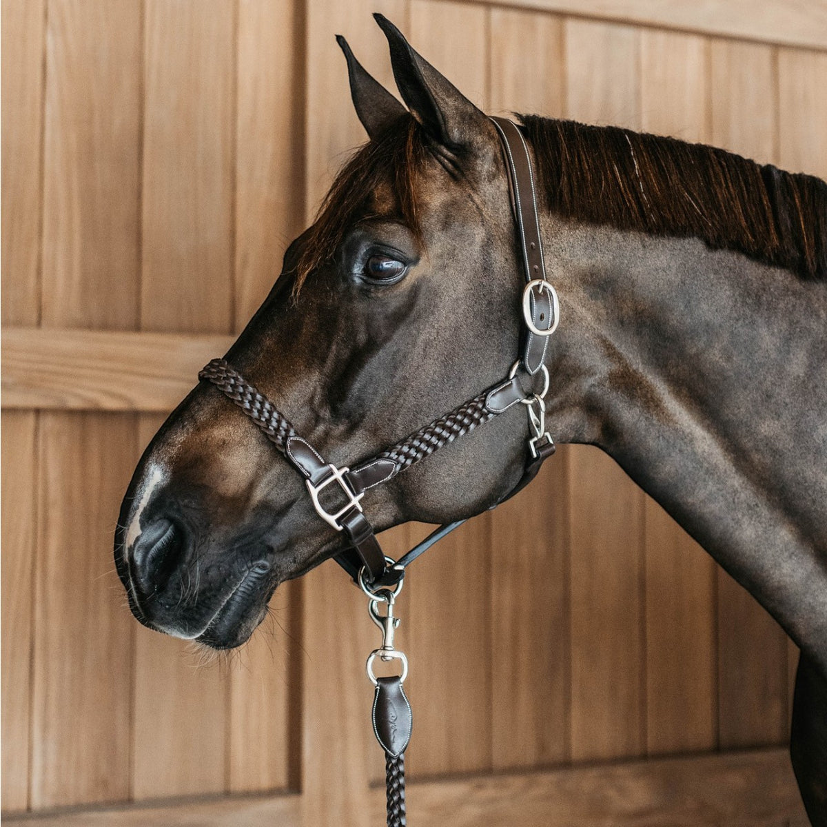 Lederhalfter Plaited