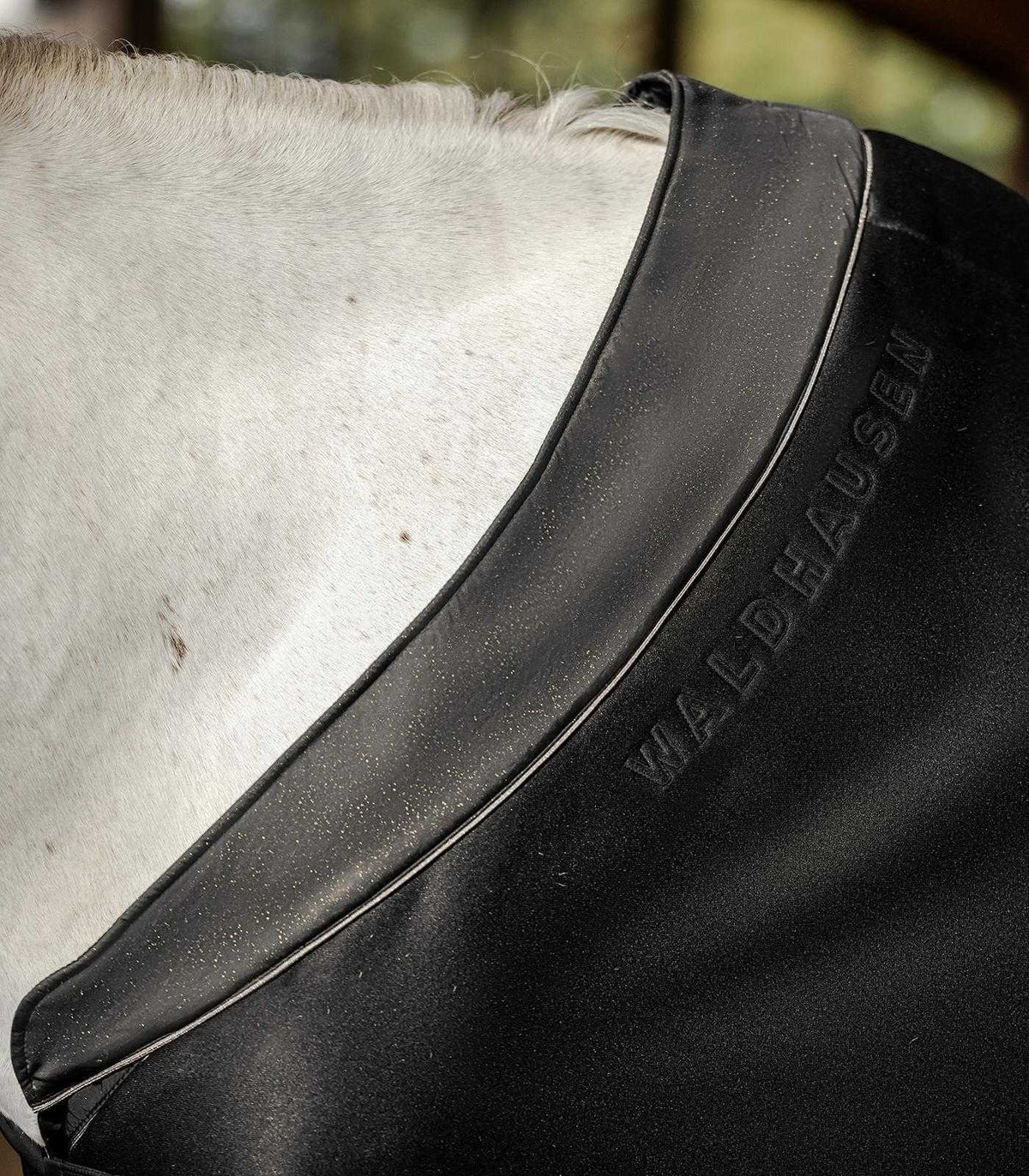 Waldhausen Jerseyabschwitzdecke Phoenix, Schwarz, Detailaufnahme am Pferd.