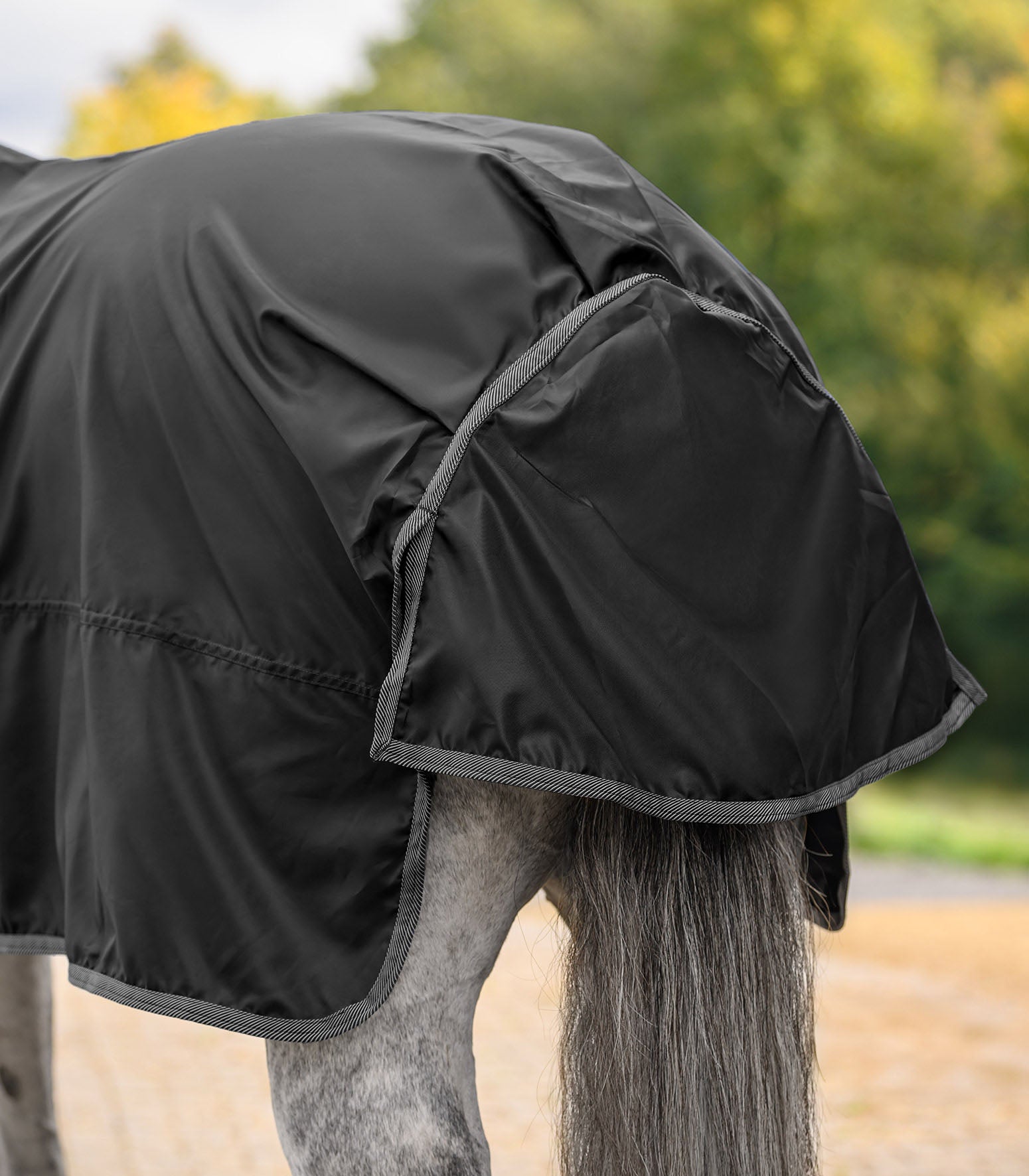 Regendecke Economic