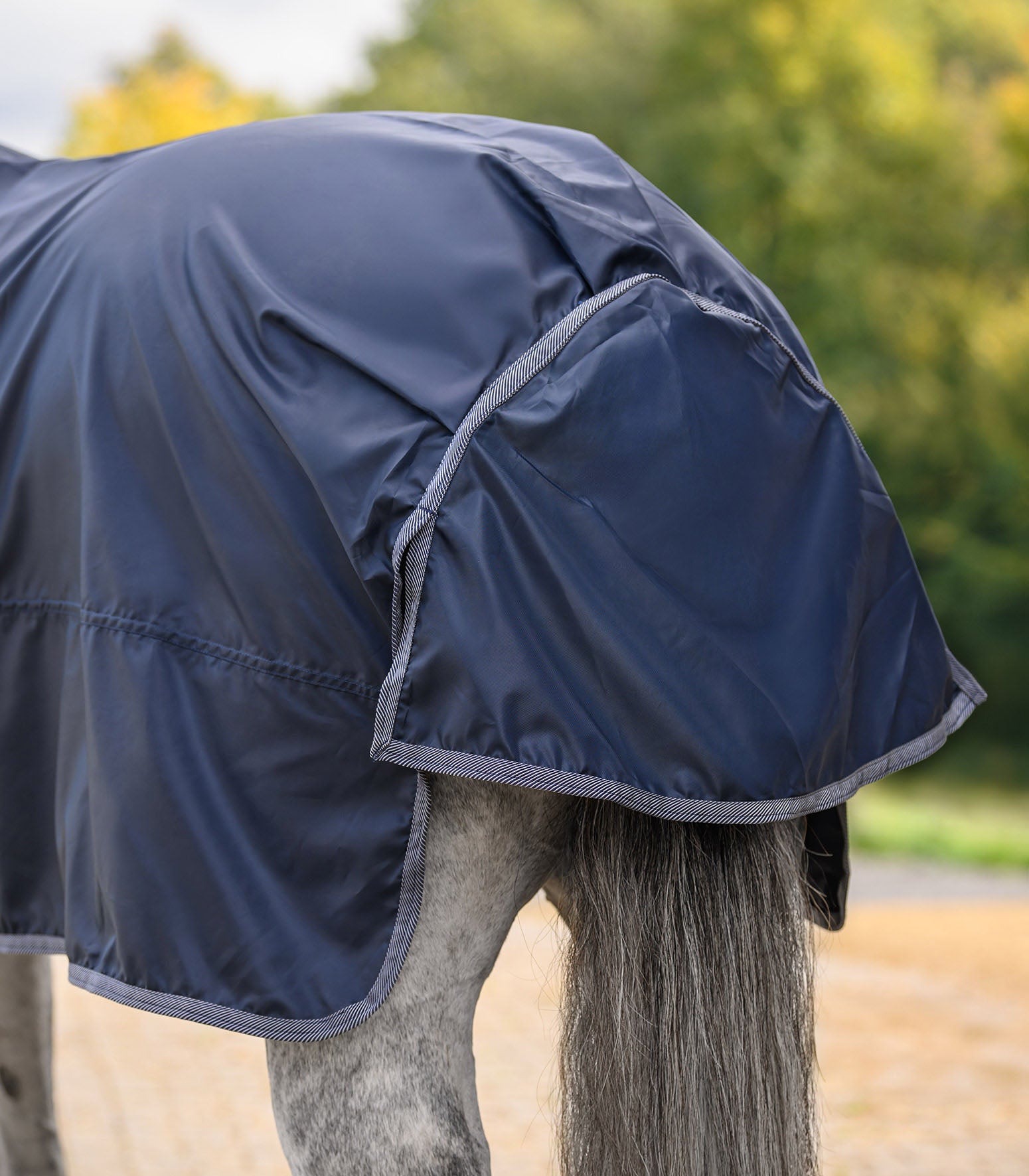 Regendecke Economic