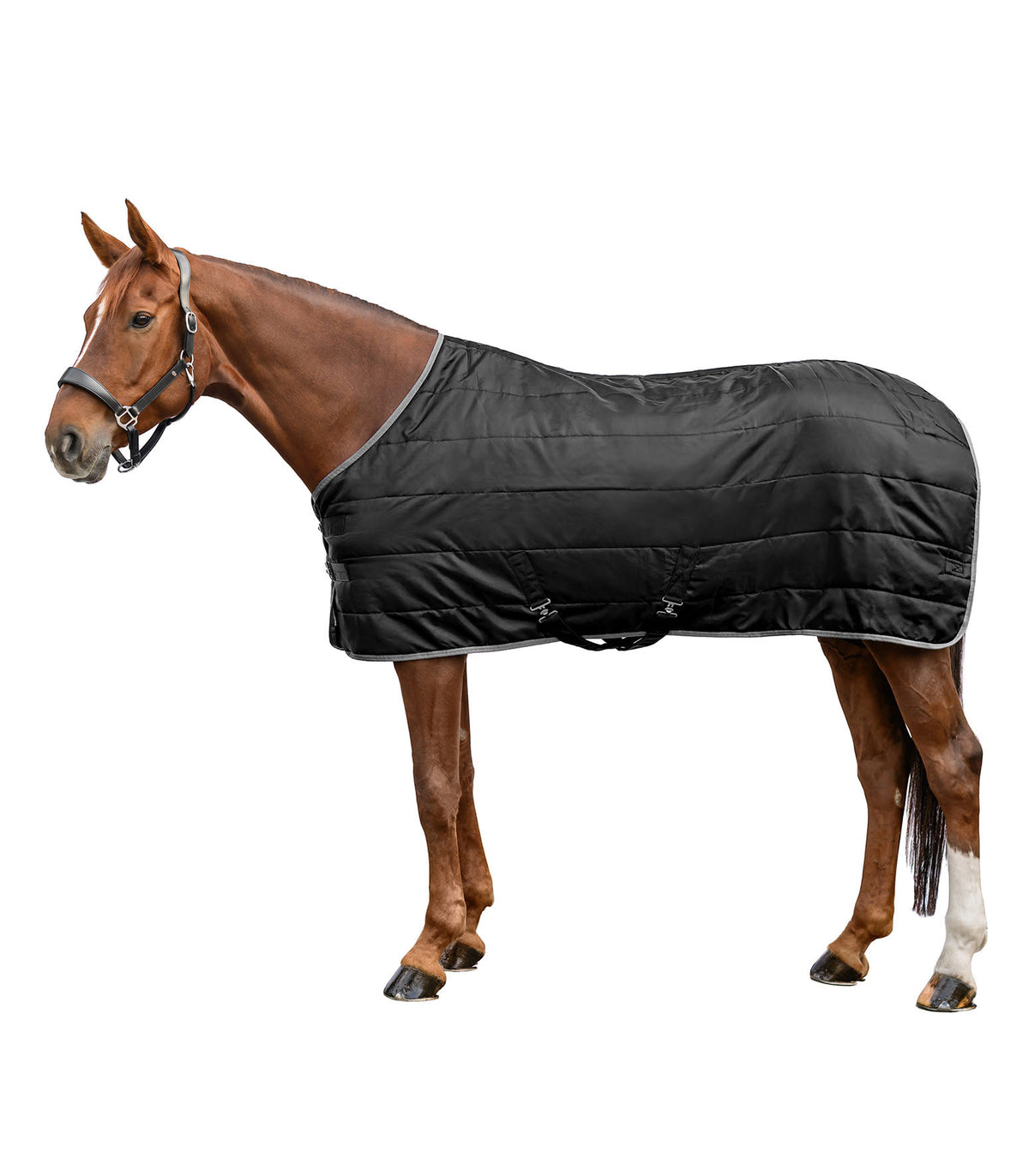 Stalldecke Economic 100 g