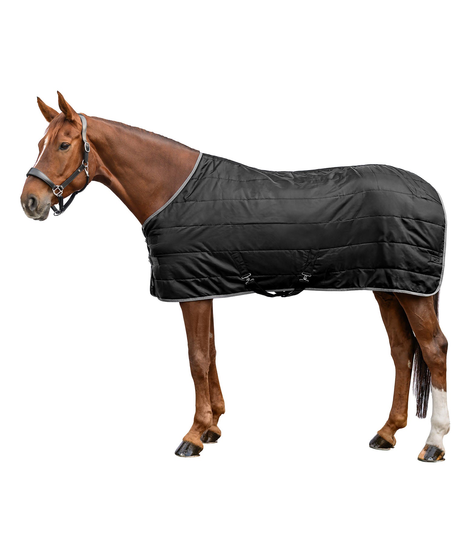 Stalldecke Economic 100 g