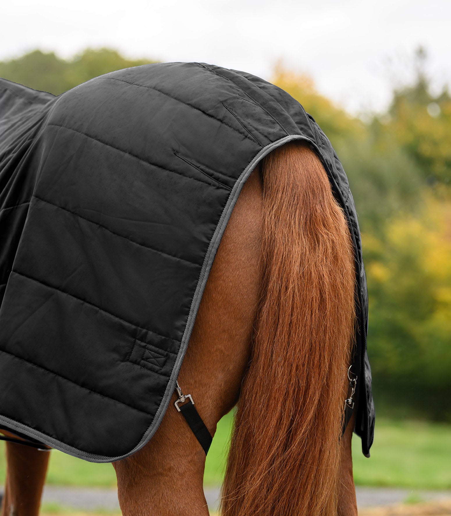 Stalldecke Economic 100 g