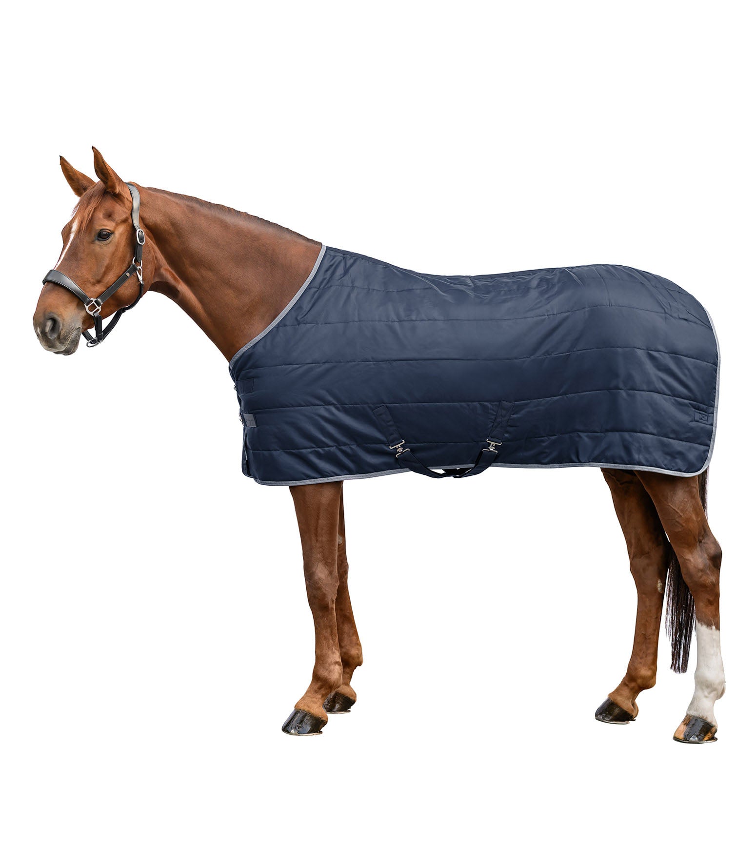 Stalldecke Economic 100 g