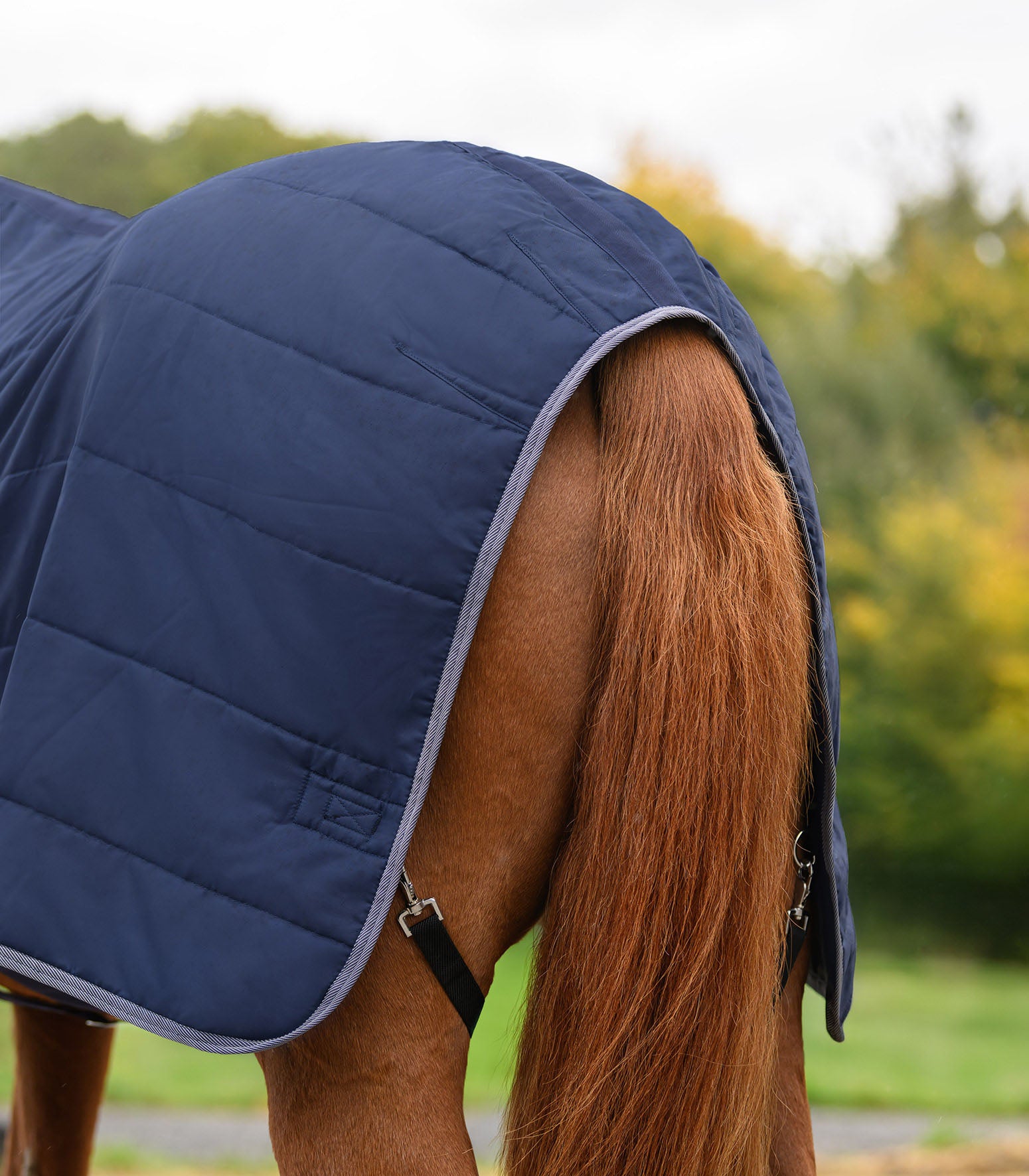 Stalldecke Economic 100 g