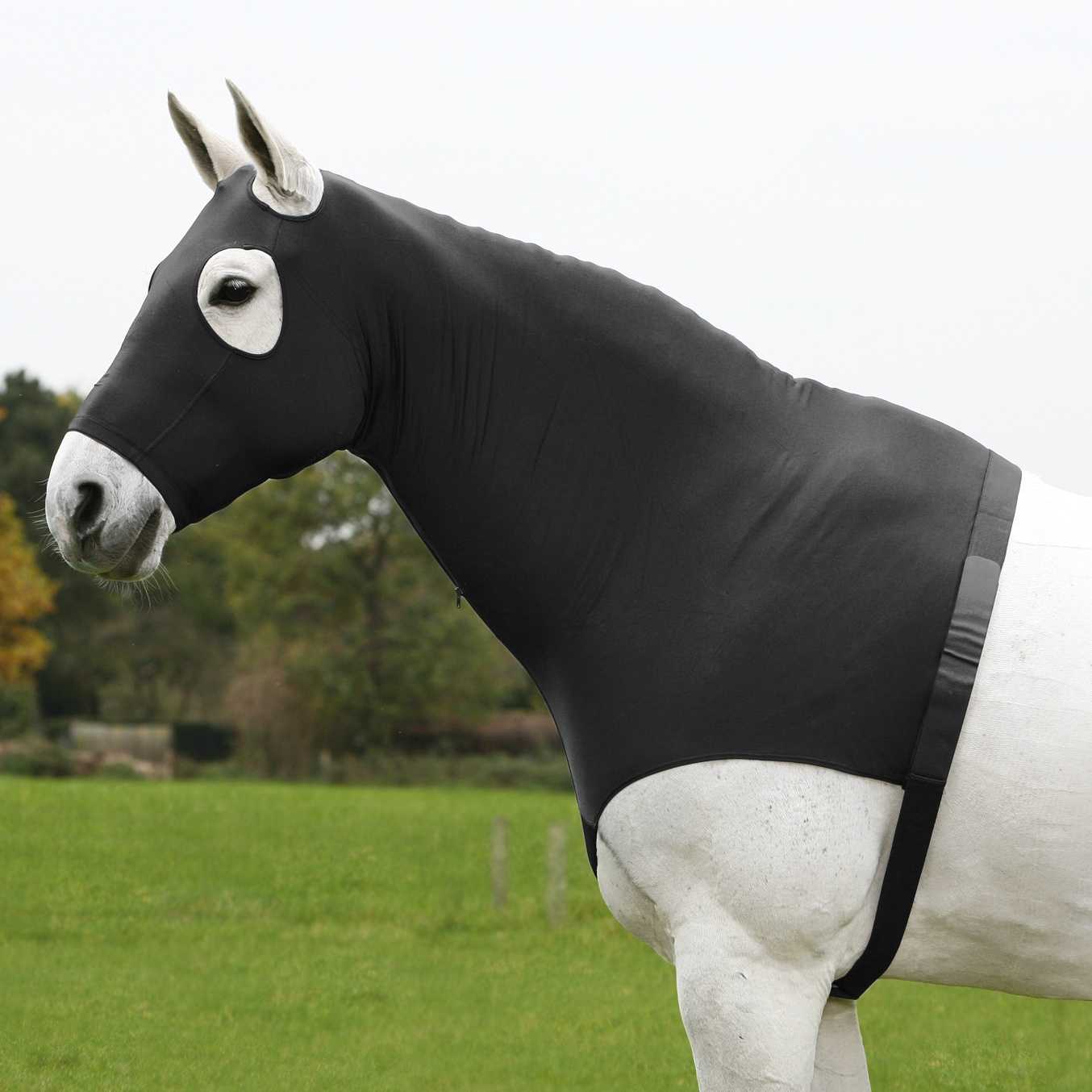 COMFORT Combination Hood