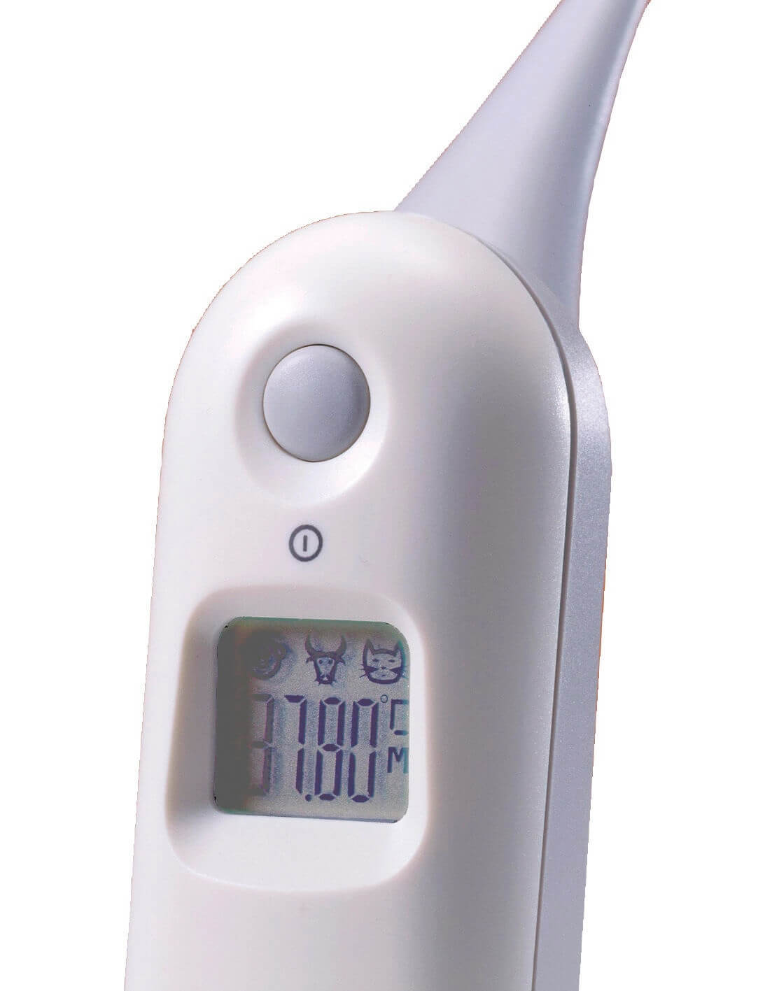 KERBL Digital Thermometer topTEMP, Detailaufnahme mit Display.