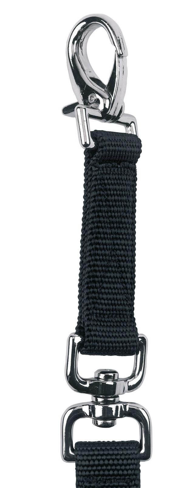 Longierleine