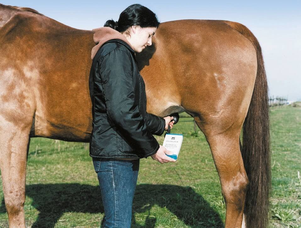 KERBL HK Trächtigkeitsdiagnosegerät für Pferde, Person benutzt das Gerät am Pferd im Freien.