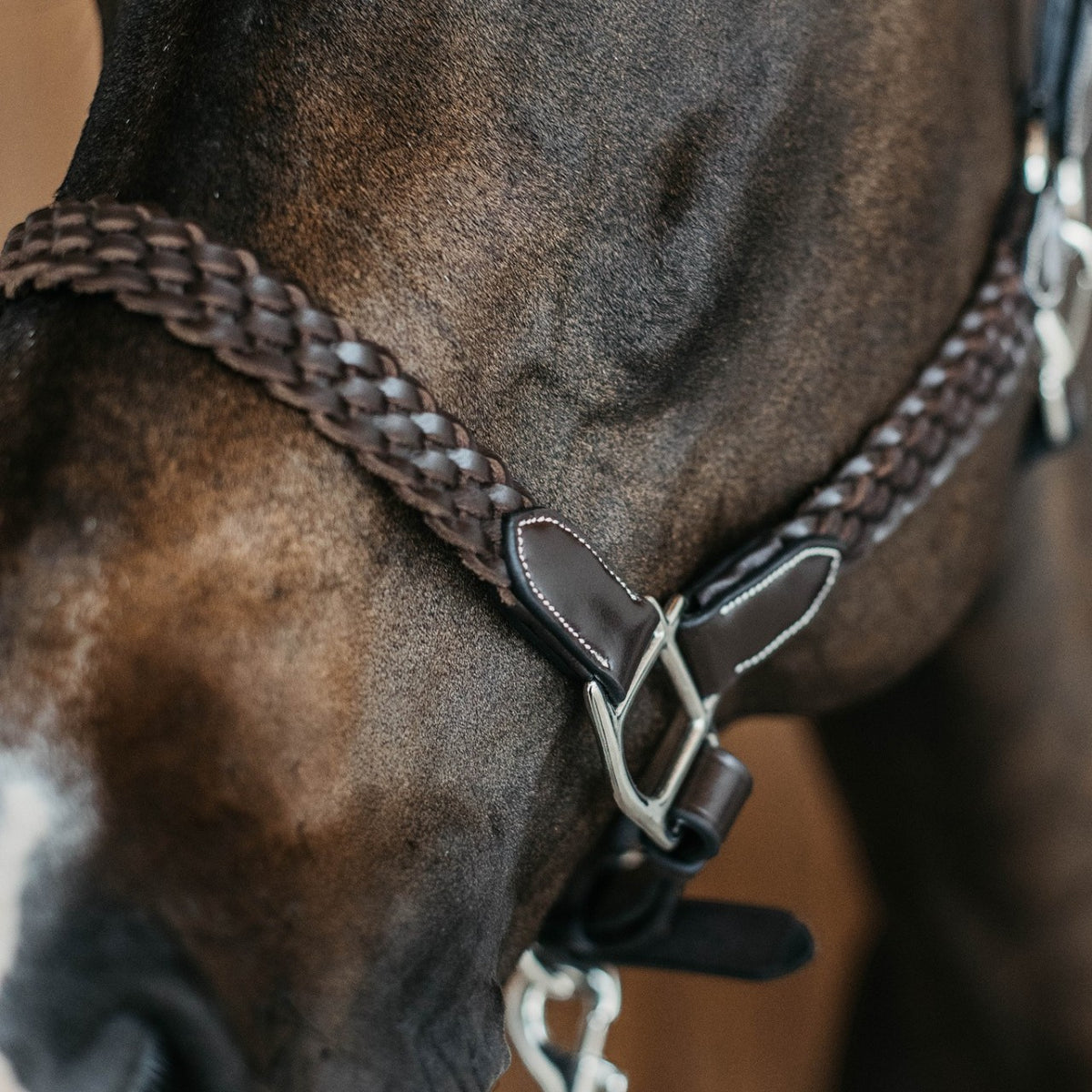 Lederhalfter Plaited