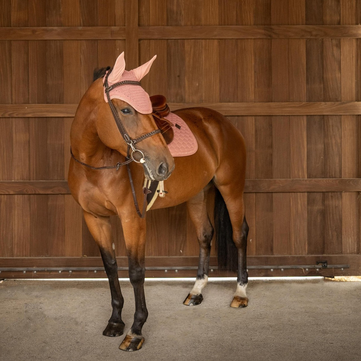 Bonnet anti-mouches Wellington Plaited Glitter Rope