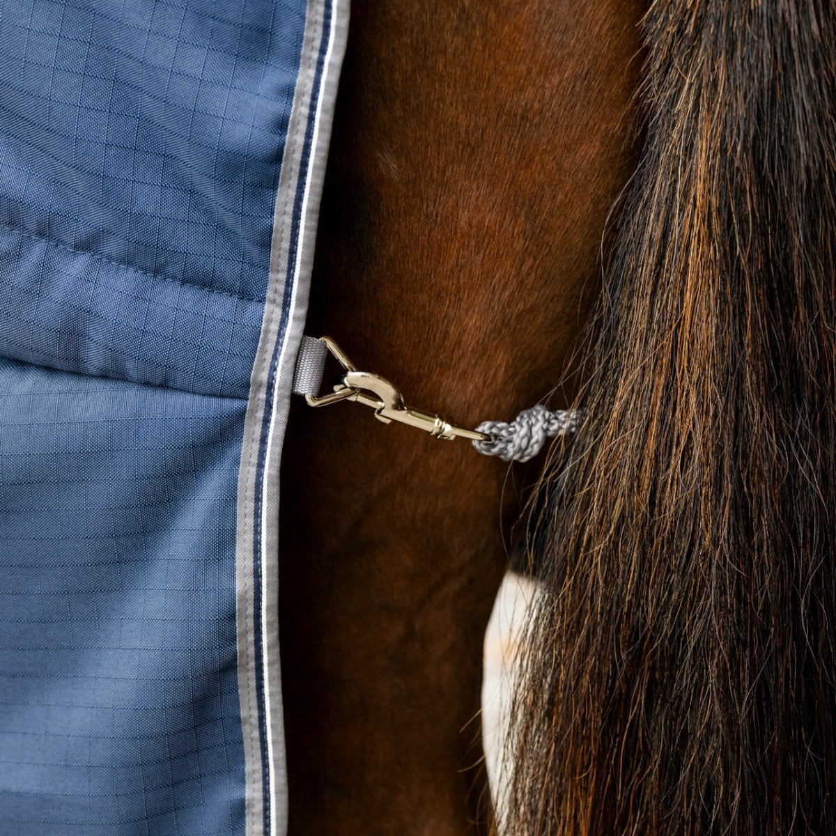 Stalldecke Rambo Stable 100g Pferdedecke