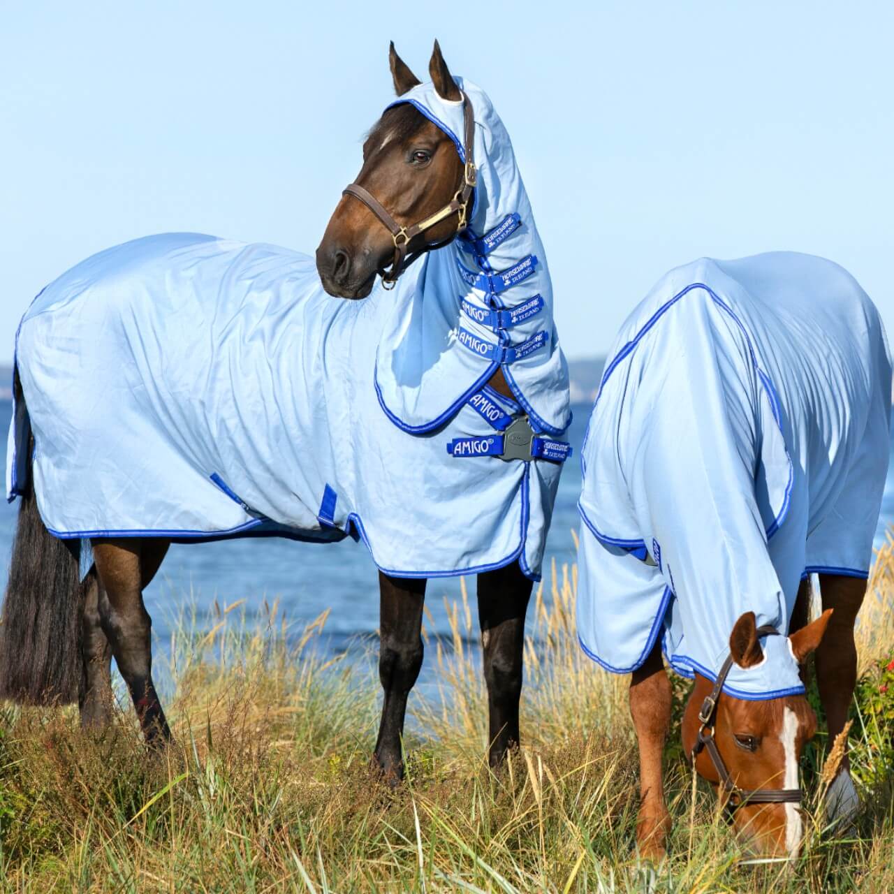 Fliegendecke Amigo Ripstop Hoody