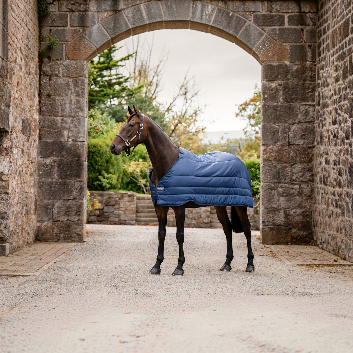 Onderdeken 100 g Horseware Liner