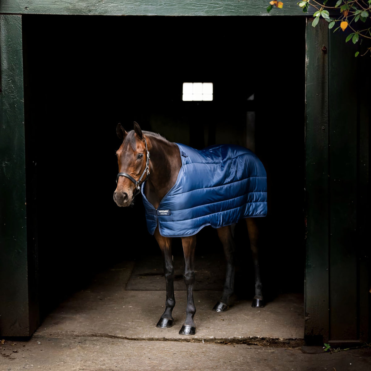 Onderdeken 100 g Horseware Liner