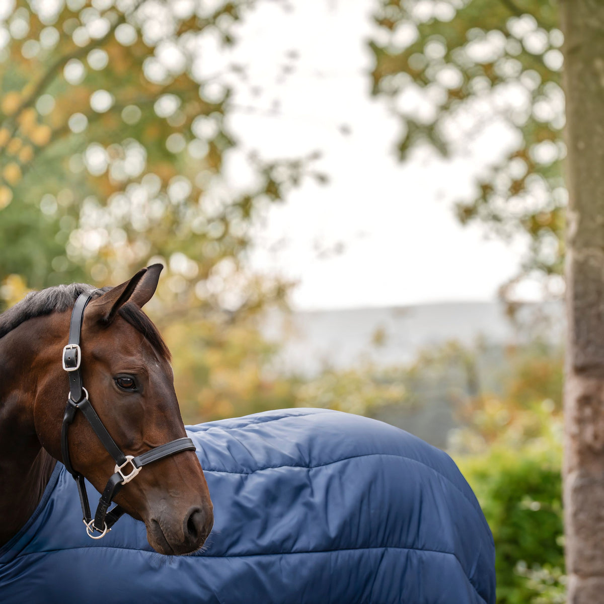 Onderdeken 100 g Horseware Liner