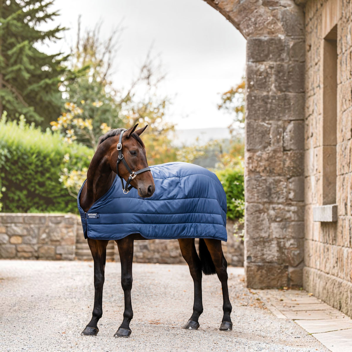 Onderdeken 100 g Horseware Liner