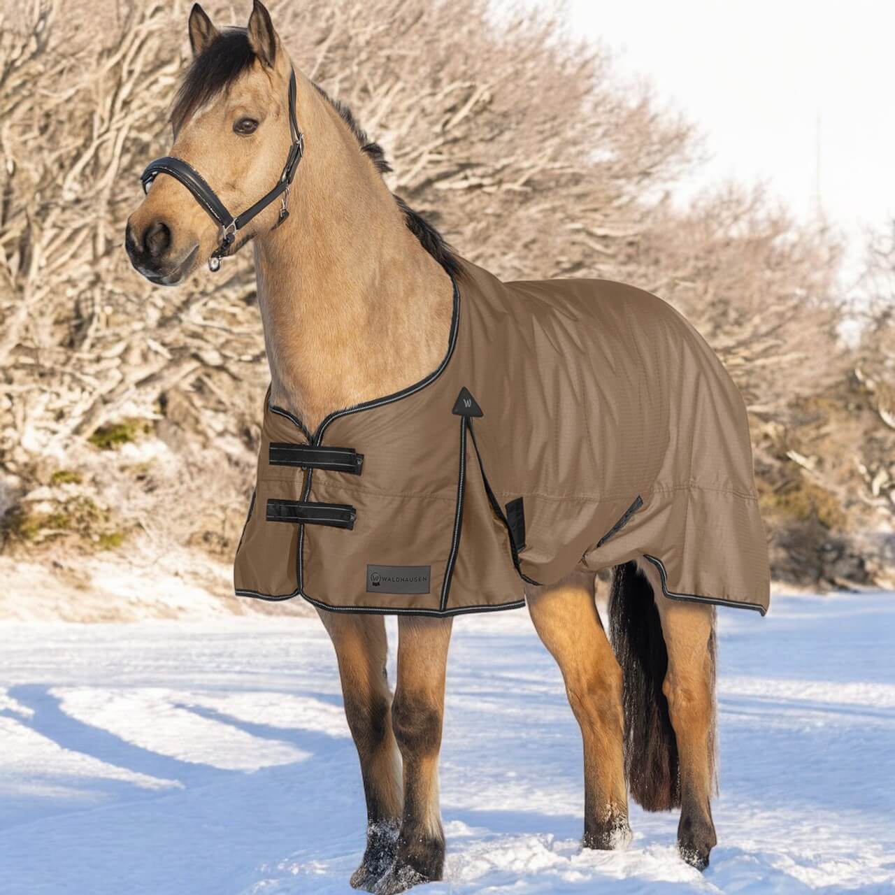 Outdoordecke 300g Arctic Weidedecke