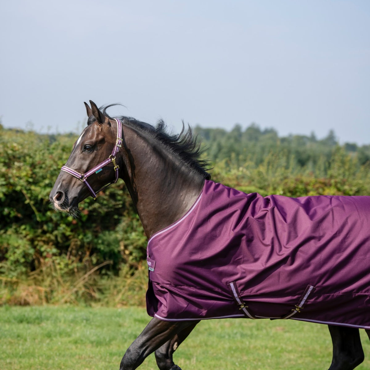 Outdoordecke 150g Freedom Turnout HW 2026 Weidedecke