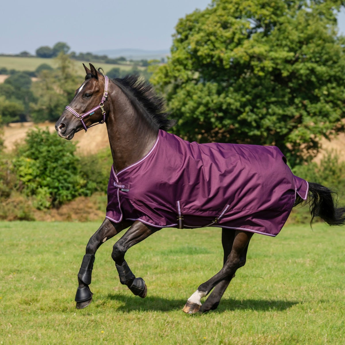 Outdoordecke 50g Freedom Turnout HW 2026 Weidedecke