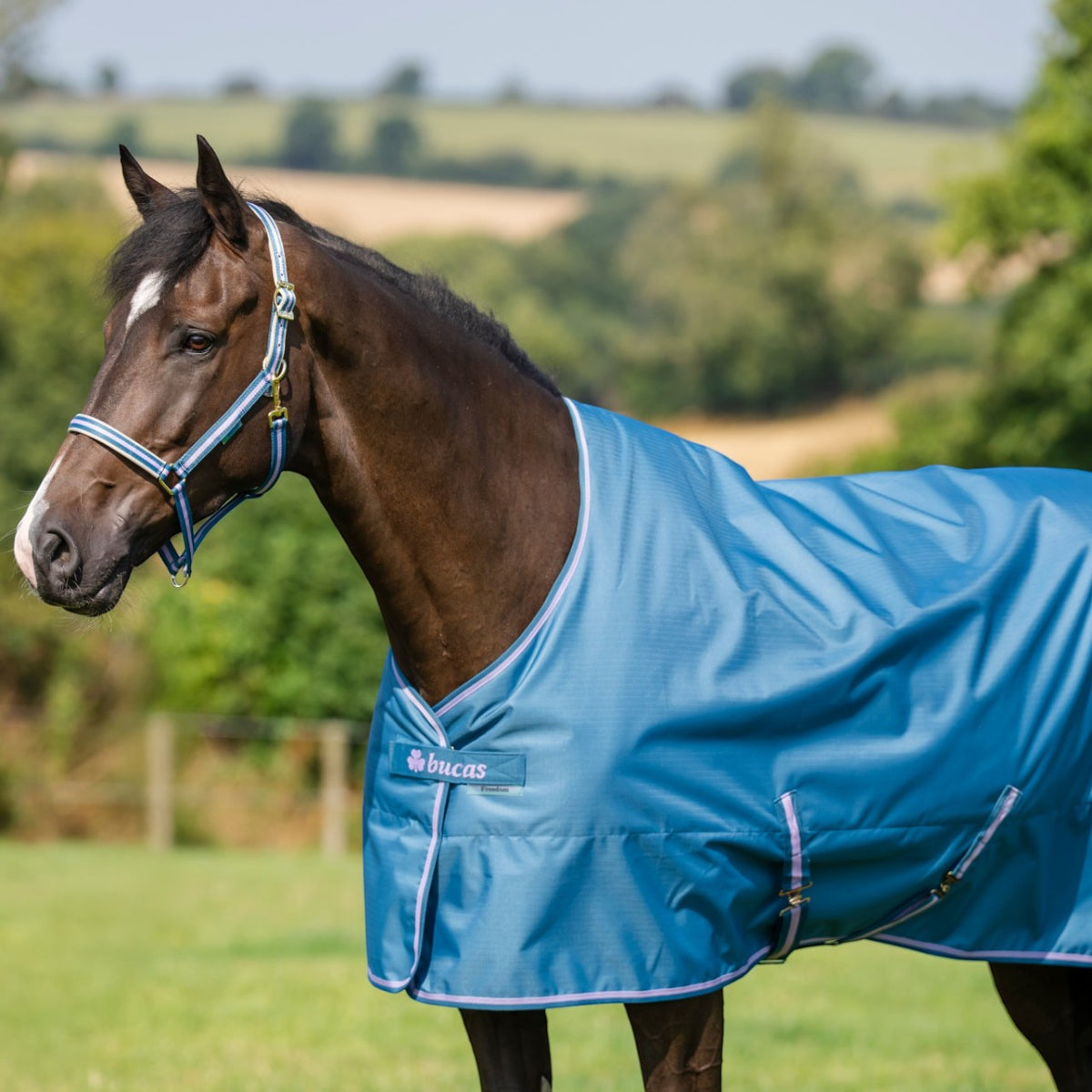 Outdoordecke 150g Freedom Turnout HW 2026 Weidedecke