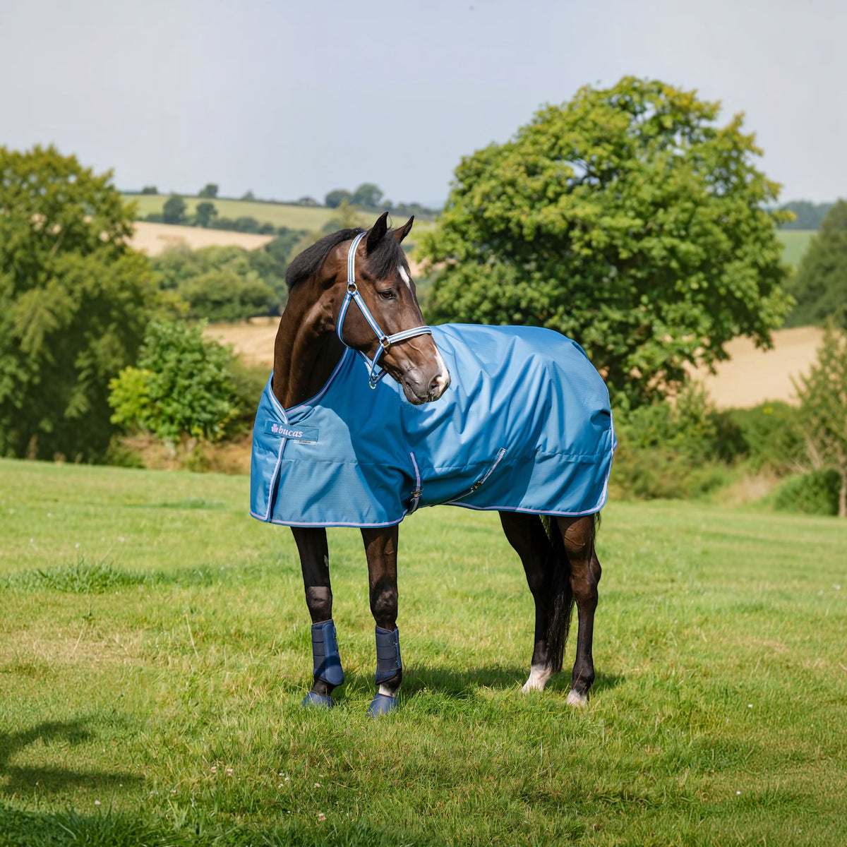 Outdoordecke 0g Freedom Turnout Light HW 2026 Regendecke