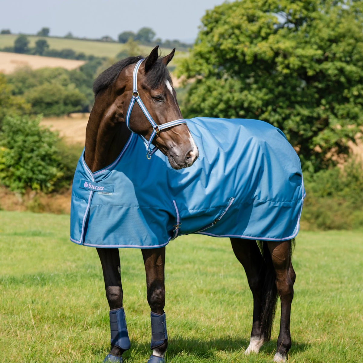 Outdoordecke 150g Freedom Turnout HW 2026 Weidedecke