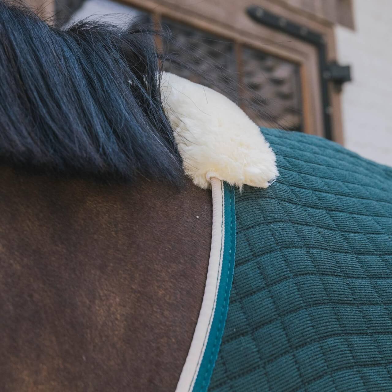 Abschwitzdecke Cooler Rug PROtherm Transportdecke