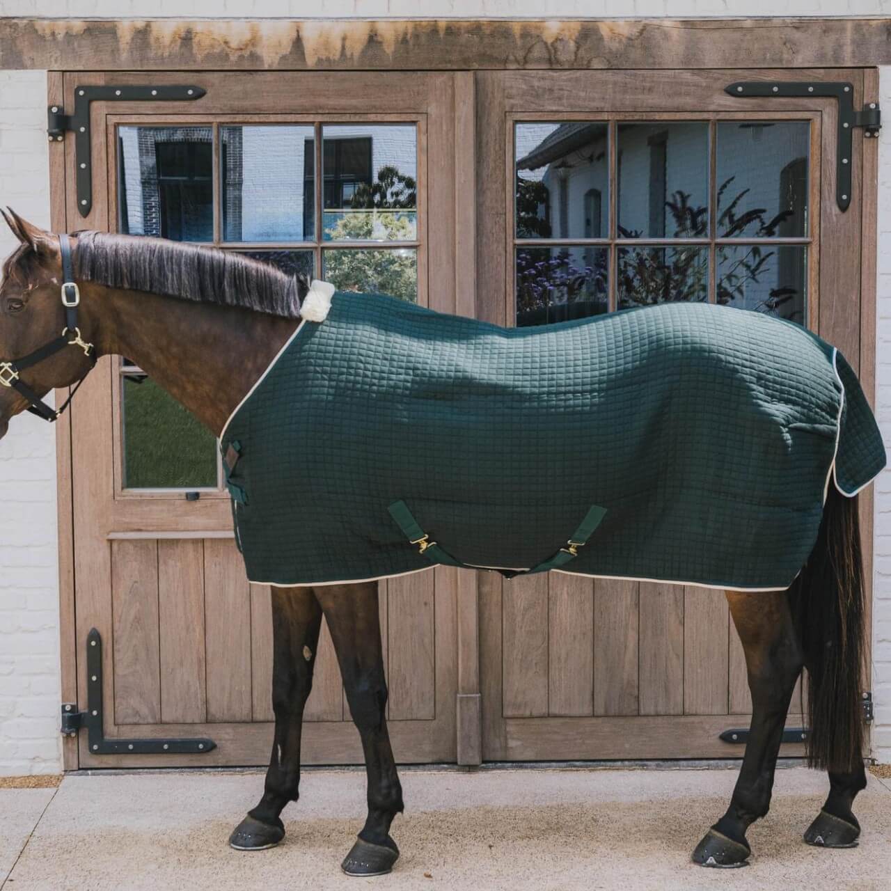 Abschwitzdecke Cooler Rug PROtherm Transportdecke