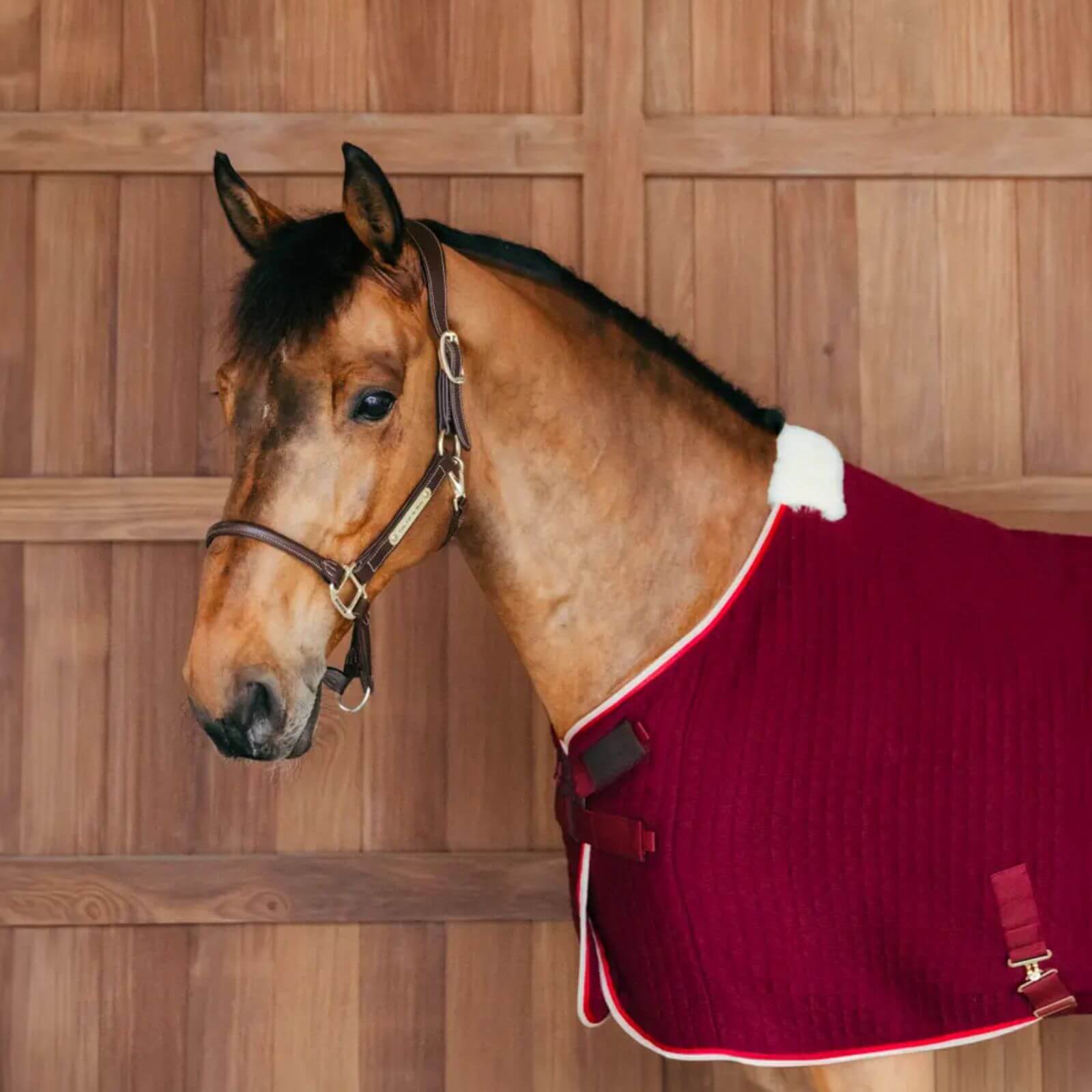 Abschwitzdecke Cooler Rug PROtherm Transportdecke