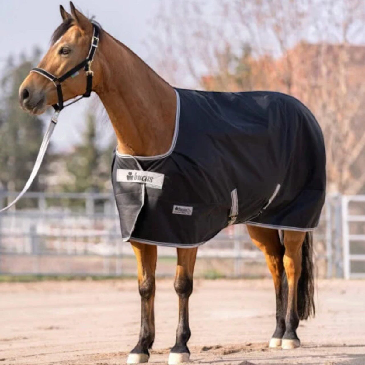 Outdoordecke 0g Anniversary Turnout Light SD Regendecke