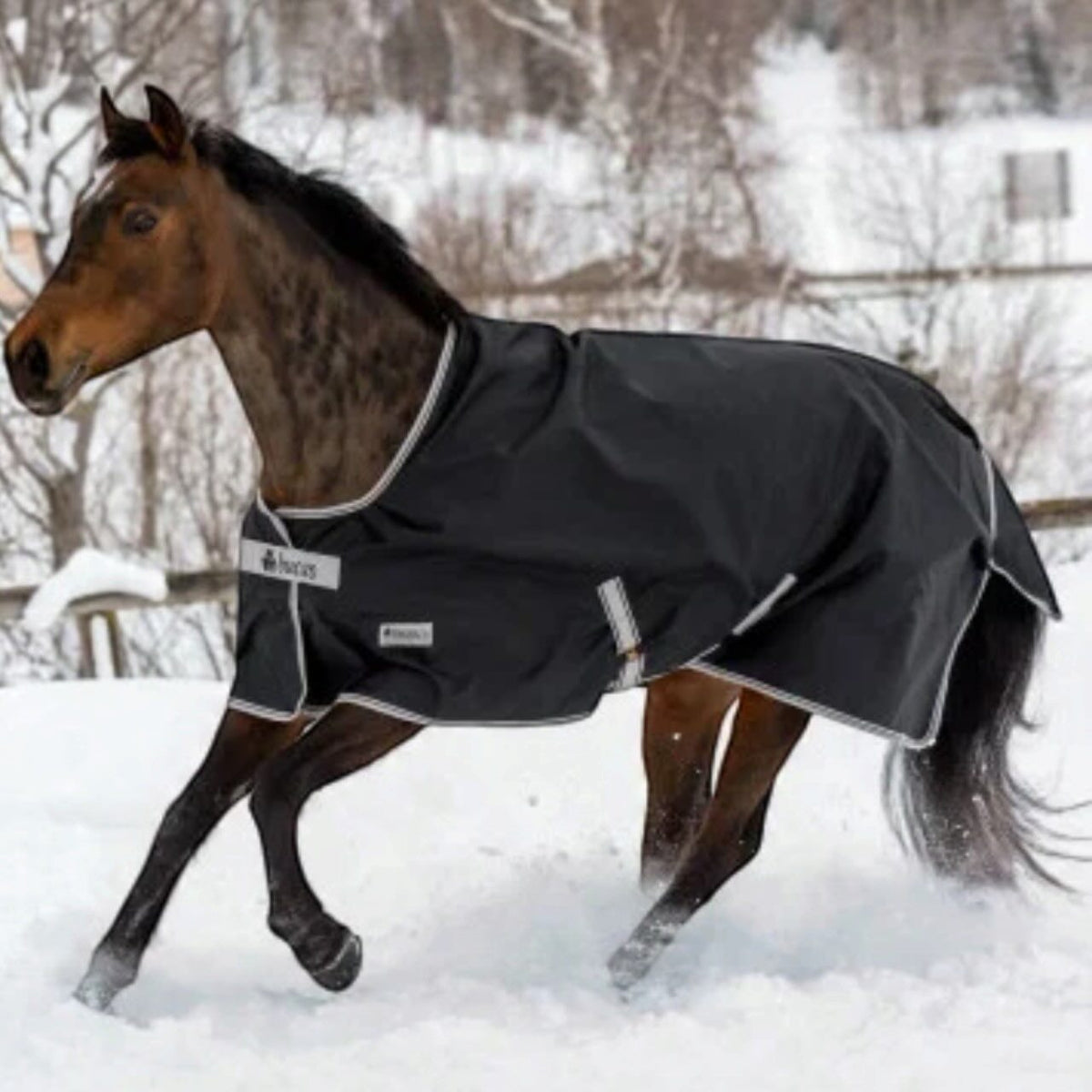 Outdoordecke 0g Anniversary Turnout Light SD Regendecke