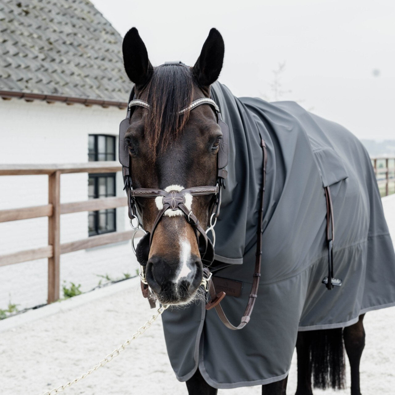 Ausreitdecke 0g Horse Rain Coat Hurricane Regendecke