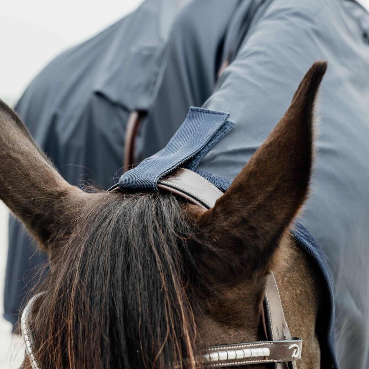 Ausreitdecke 0g Horse Rain Coat Hurricane Regendecke
