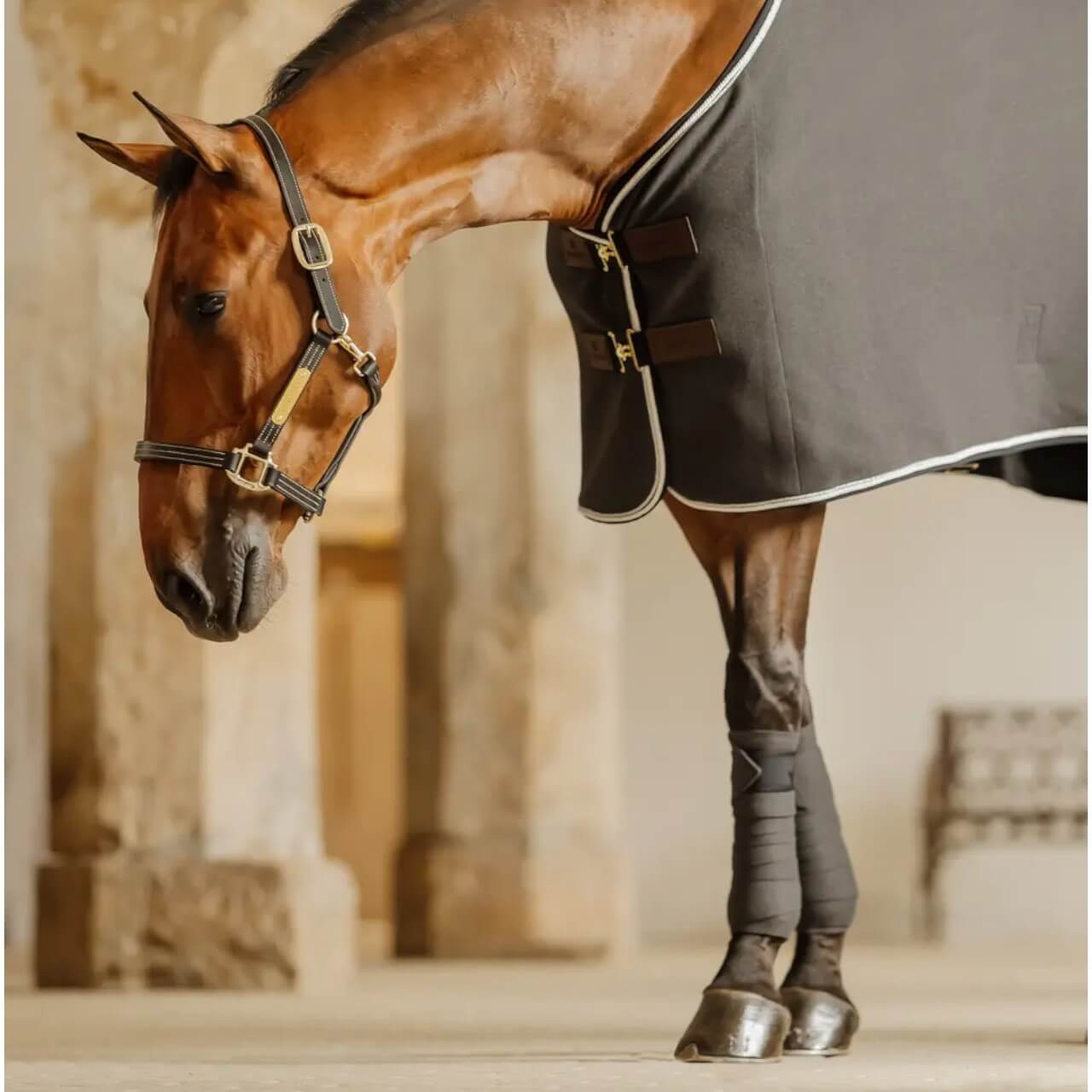 Bandagen Show Vegan Wool Polar Fleecebandagen