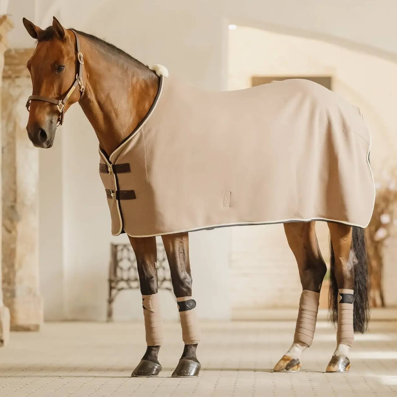 Bandagen Show Vegan Wool Polar Fleecebandagen