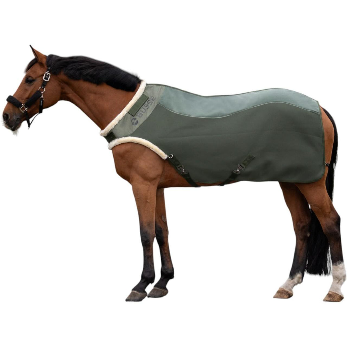 Deep Olive