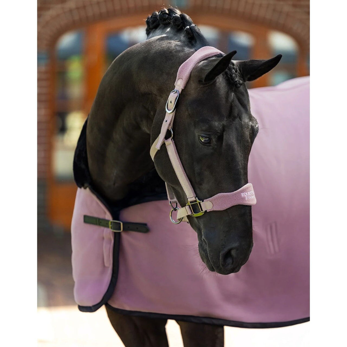Halfter Anatomic Fleece Blush Fellhalfter