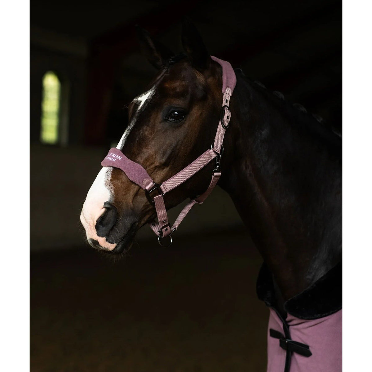 Halfter Anatomic Fleece Blush Fellhalfter