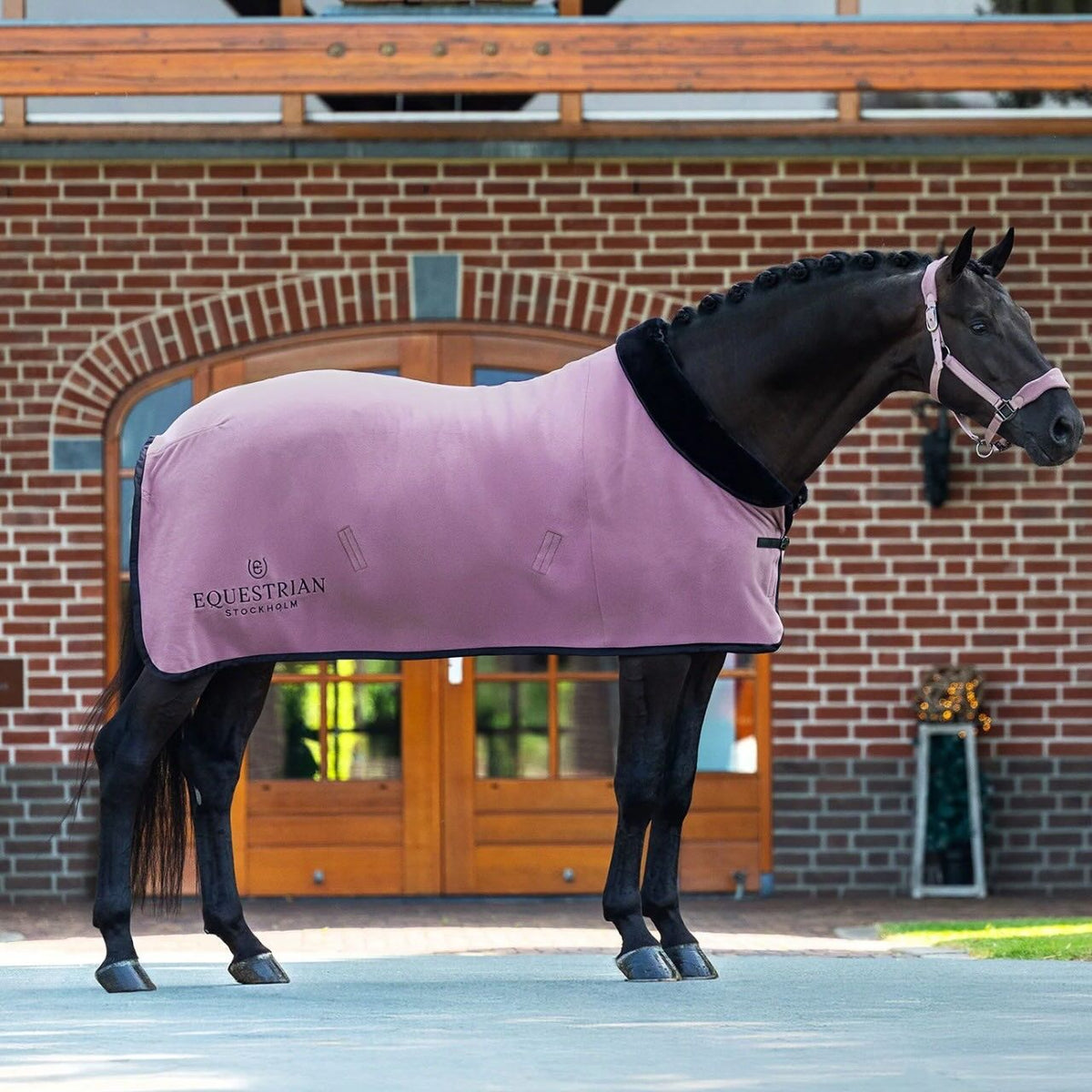Abschwitzdecke Fleece Blush Fleecedecke