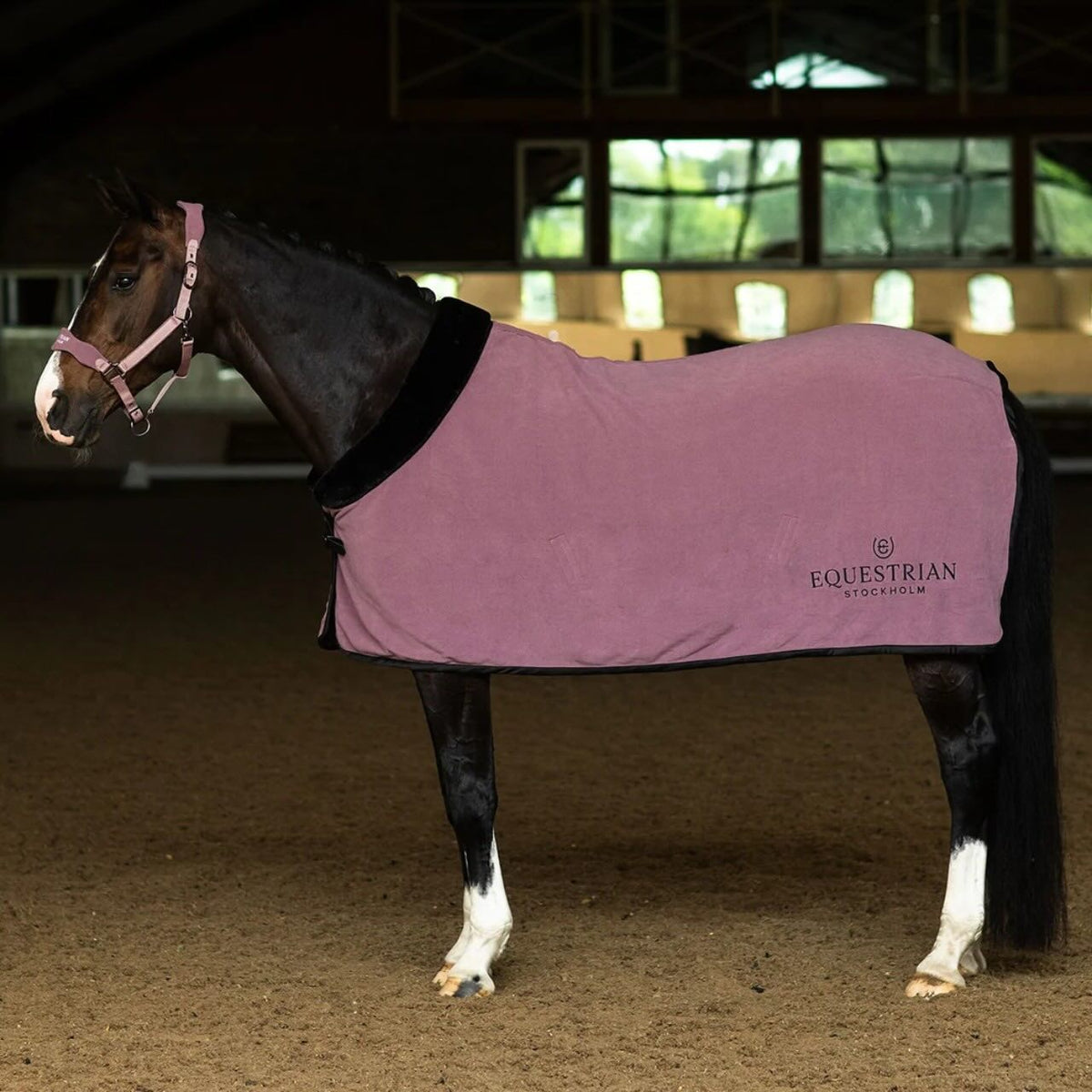 Abschwitzdecke Fleece Blush Fleecedecke