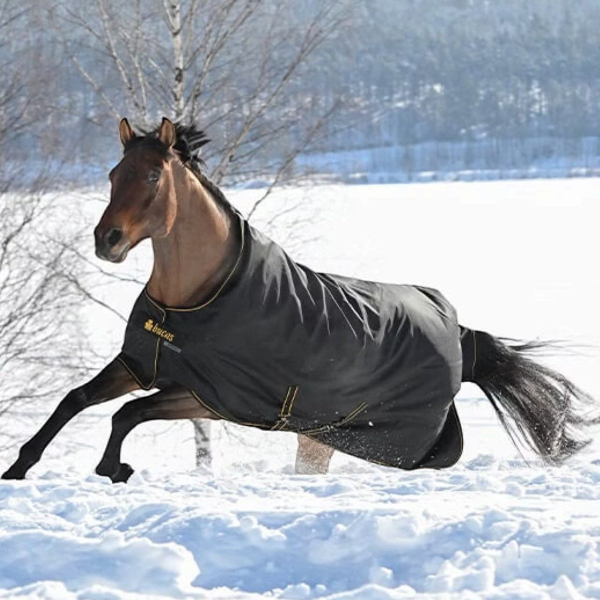 Outdoordecke 250g Irish Turnout Winterdecke
