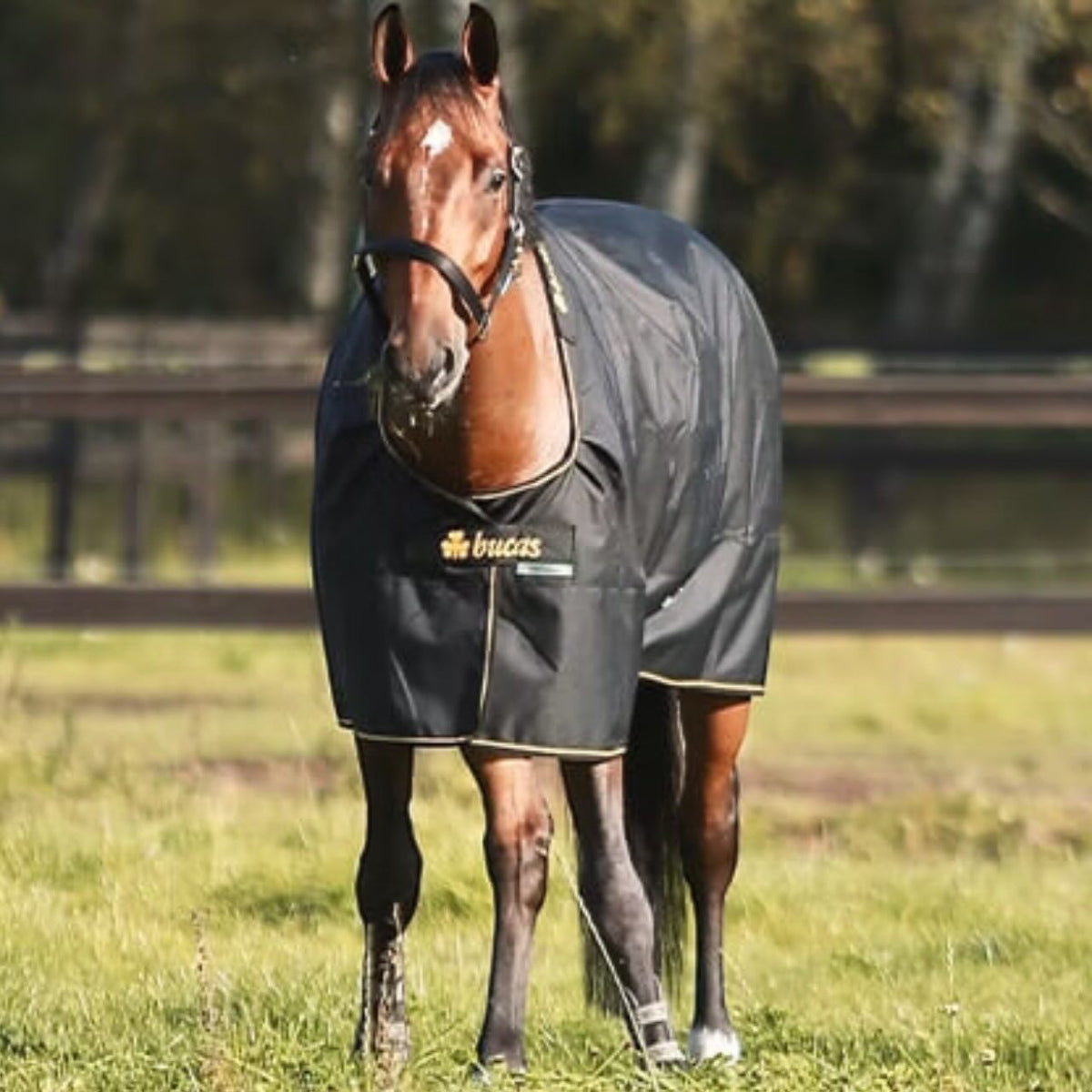 Outdoordecke 250g Irish Turnout Winterdecke