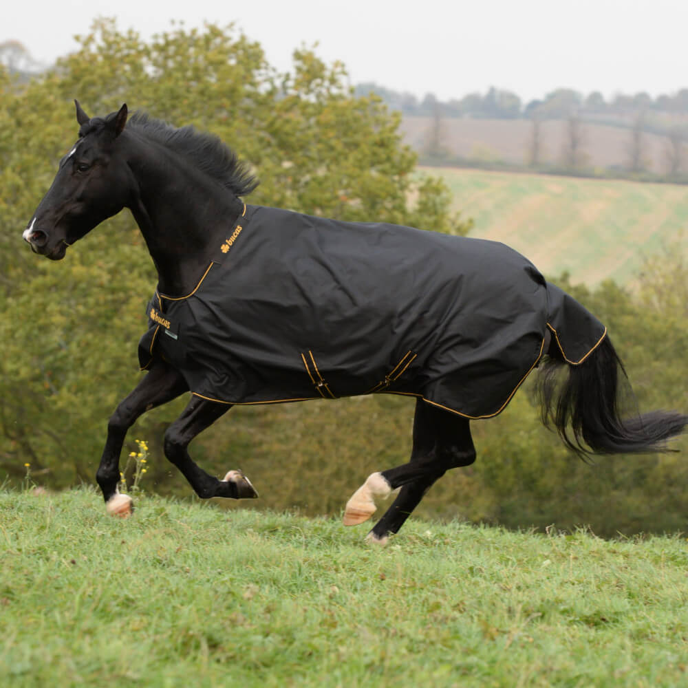Outdoordecke 50g Irish Turnout Big Neck Weidedecke